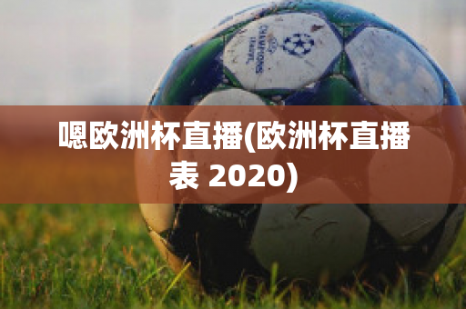 嗯欧洲杯直播(欧洲杯直播表 2020)