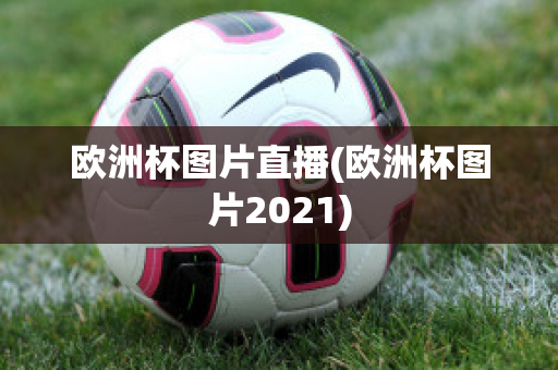 欧洲杯图片直播(欧洲杯图片2021)