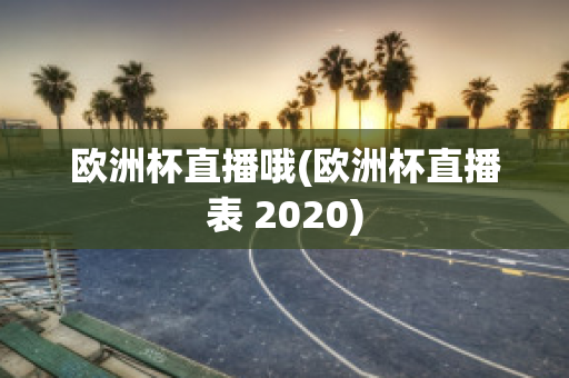 欧洲杯直播哦(欧洲杯直播表 2020)