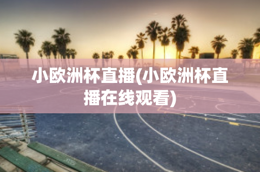 小欧洲杯直播(小欧洲杯直播在线观看)