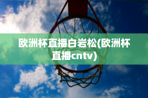 欧洲杯直播白岩松(欧洲杯直播cntv)