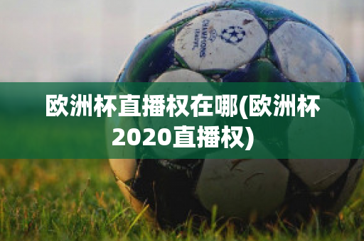 欧洲杯直播权在哪(欧洲杯2020直播权)