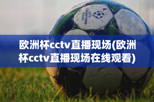 欧洲杯cctv直播现场(欧洲杯cctv直播现场在线观看)