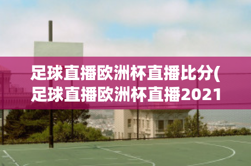 足球直播欧洲杯直播比分(足球直播欧洲杯直播2021)