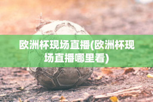 欧洲杯现场直播(欧洲杯现场直播哪里看)