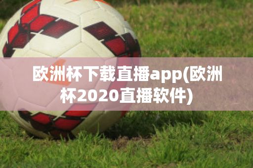 欧洲杯下载直播app(欧洲杯2020直播软件)