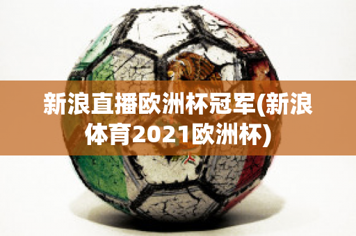 新浪直播欧洲杯冠军(新浪体育2021欧洲杯)