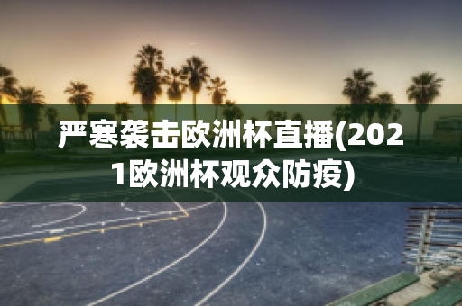 严寒袭击欧洲杯直播(2021欧洲杯观众防疫)