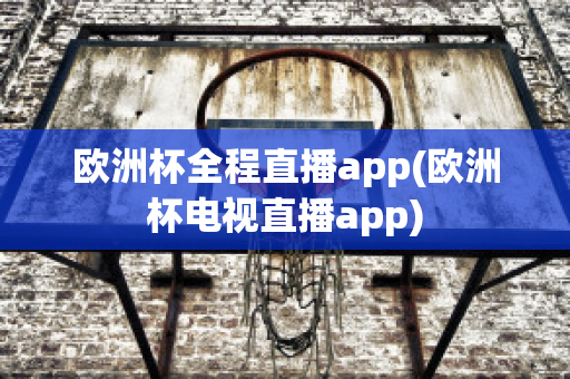 欧洲杯全程直播app(欧洲杯电视直播app)