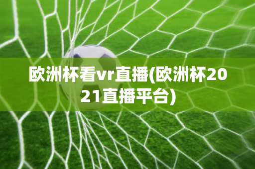 欧洲杯看vr直播(欧洲杯2021直播平台)