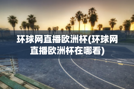 环球网直播欧洲杯(环球网直播欧洲杯在哪看)