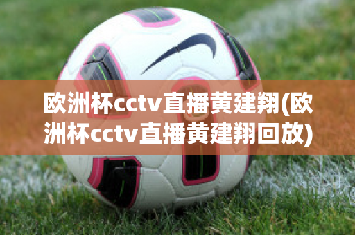 欧洲杯cctv直播黄建翔(欧洲杯cctv直播黄建翔回放)