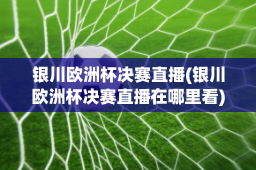 银川欧洲杯决赛直播(银川欧洲杯决赛直播在哪里看)