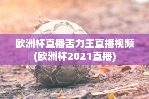 欧洲杯直播苦力王直播视频(欧洲杯2021直播)