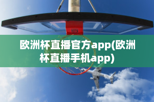 欧洲杯直播官方app(欧洲杯直播手机app)