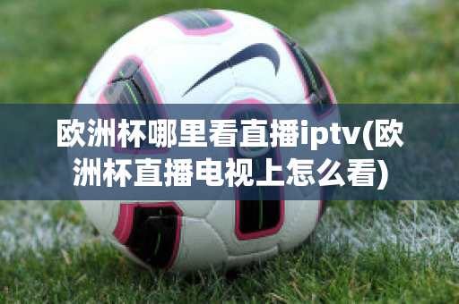 欧洲杯哪里看直播iptv(欧洲杯直播电视上怎么看)