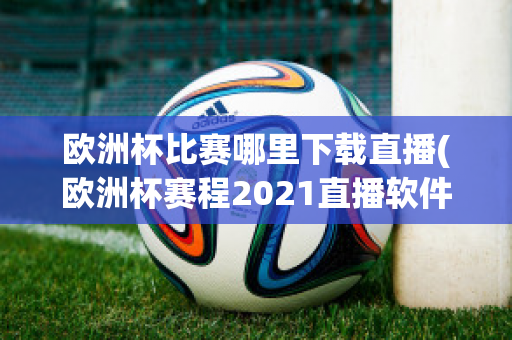 欧洲杯比赛哪里下载直播(欧洲杯赛程2021直播软件)