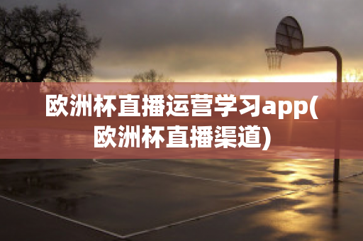 欧洲杯直播运营学习app(欧洲杯直播渠道)