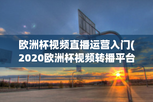 欧洲杯视频直播运营入门(2020欧洲杯视频转播平台)