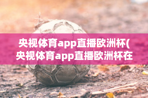 央视体育app直播欧洲杯(央视体育app直播欧洲杯在哪看)