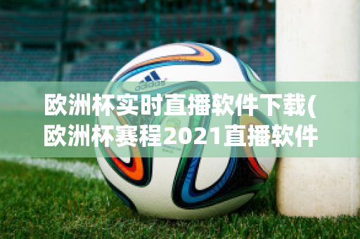 欧洲杯实时直播软件下载(欧洲杯赛程2021直播软件)