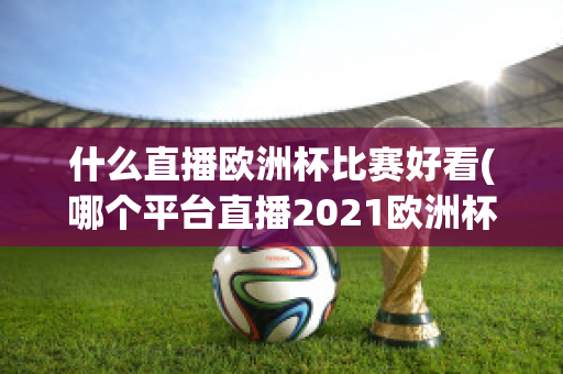 什么直播欧洲杯比赛好看(哪个平台直播2021欧洲杯)