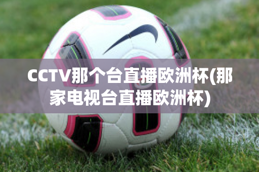 CCTV那个台直播欧洲杯(那家电视台直播欧洲杯)