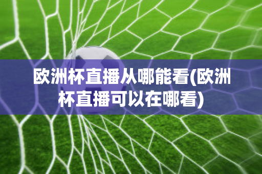 欧洲杯直播从哪能看(欧洲杯直播可以在哪看)