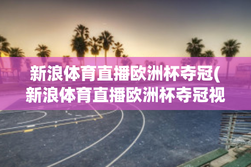 新浪体育直播欧洲杯夺冠(新浪体育直播欧洲杯夺冠视频回放)