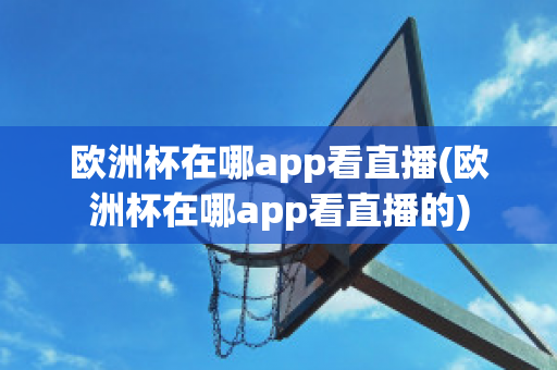 欧洲杯在哪app看直播(欧洲杯在哪app看直播的)