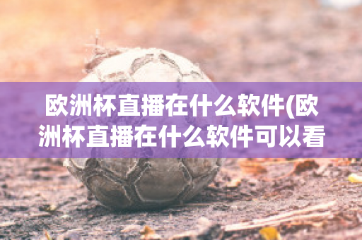 欧洲杯直播在什么软件(欧洲杯直播在什么软件可以看)