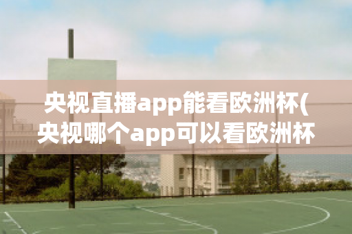 央视直播app能看欧洲杯(央视哪个app可以看欧洲杯)