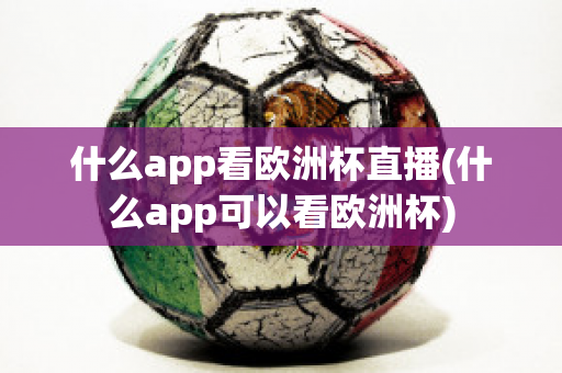 什么app看欧洲杯直播(什么app可以看欧洲杯)