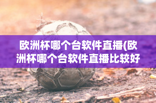 欧洲杯哪个台软件直播(欧洲杯哪个台软件直播比较好)