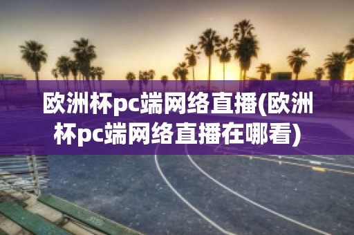 欧洲杯pc端网络直播(欧洲杯pc端网络直播在哪看)