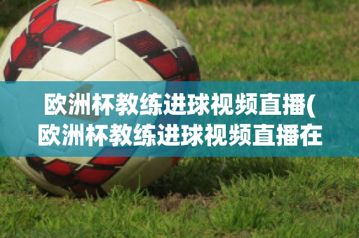 欧洲杯教练进球视频直播(欧洲杯教练进球视频直播在线观看)