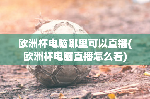 欧洲杯电脑哪里可以直播(欧洲杯电脑直播怎么看)