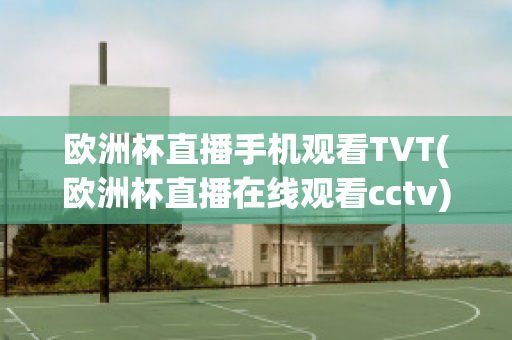 欧洲杯直播手机观看TVT(欧洲杯直播在线观看cctv)