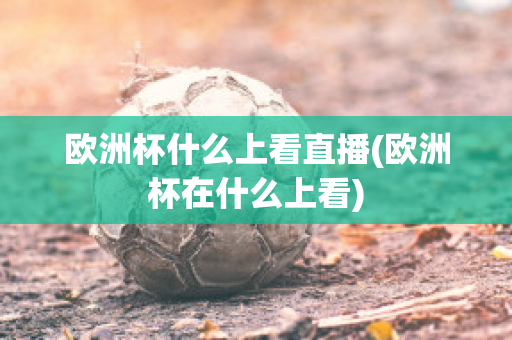 欧洲杯什么上看直播(欧洲杯在什么上看)