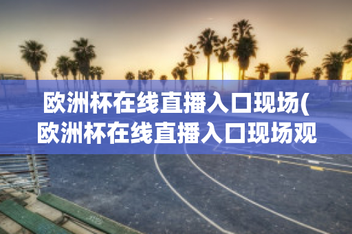 欧洲杯在线直播入口现场(欧洲杯在线直播入口现场观看)