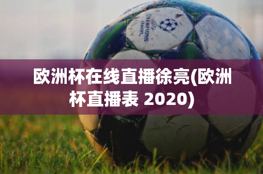 欧洲杯在线直播徐亮(欧洲杯直播表 2020)