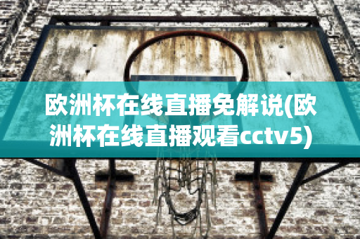 欧洲杯在线直播免解说(欧洲杯在线直播观看cctv5)