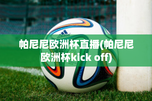 帕尼尼欧洲杯直播(帕尼尼欧洲杯kick off)