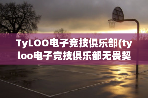 TyLOO电子竞技俱乐部(tyloo电子竞技俱乐部无畏契约)