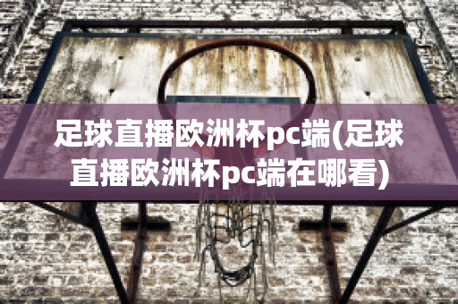 足球直播欧洲杯pc端(足球直播欧洲杯pc端在哪看)