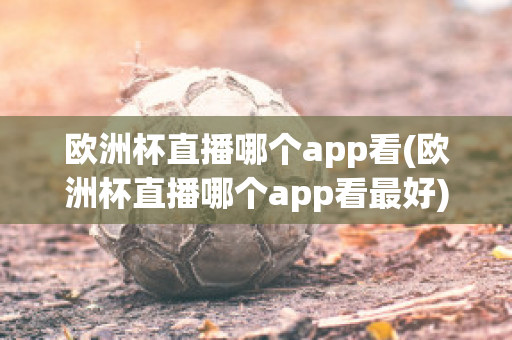 欧洲杯直播哪个app看(欧洲杯直播哪个app看最好)