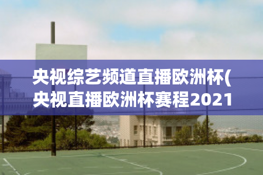 央视综艺频道直播欧洲杯(央视直播欧洲杯赛程2021赛程表)