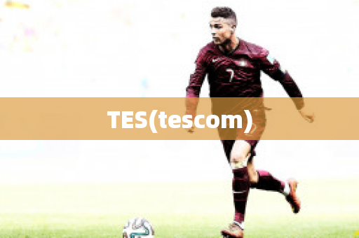TES(tescom)