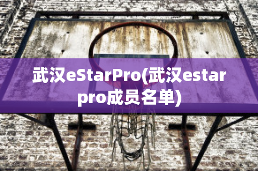 武汉eStarPro(武汉estarpro成员名单)