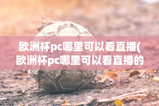 欧洲杯pc哪里可以看直播(欧洲杯pc哪里可以看直播的)